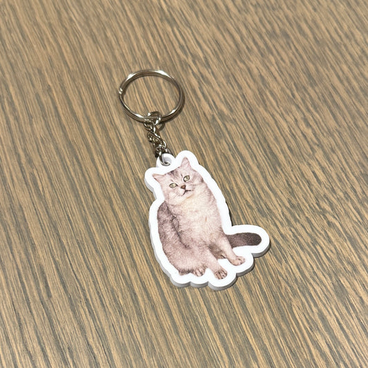 Deksy Keychain