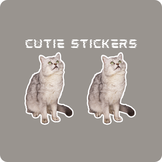 Cutie Stickers Duo